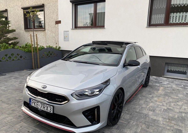Kia Pro_cee'd cena 107500 przebieg: 49973, rok produkcji 2020 z Kępno małe 232